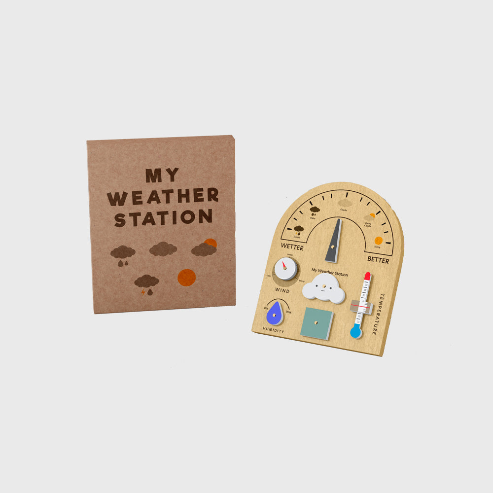 Wodden Weather Station Toy