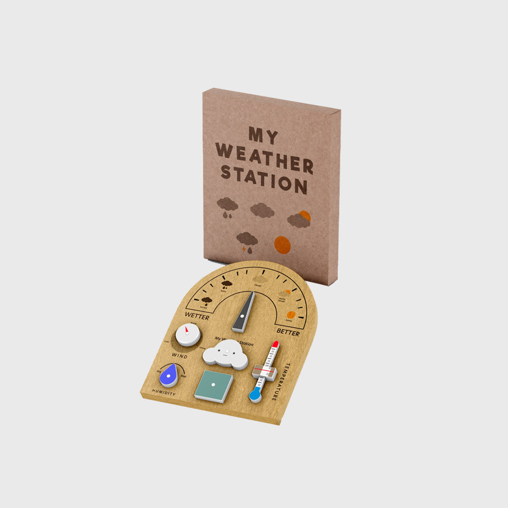 Wodden Weather Station Toy