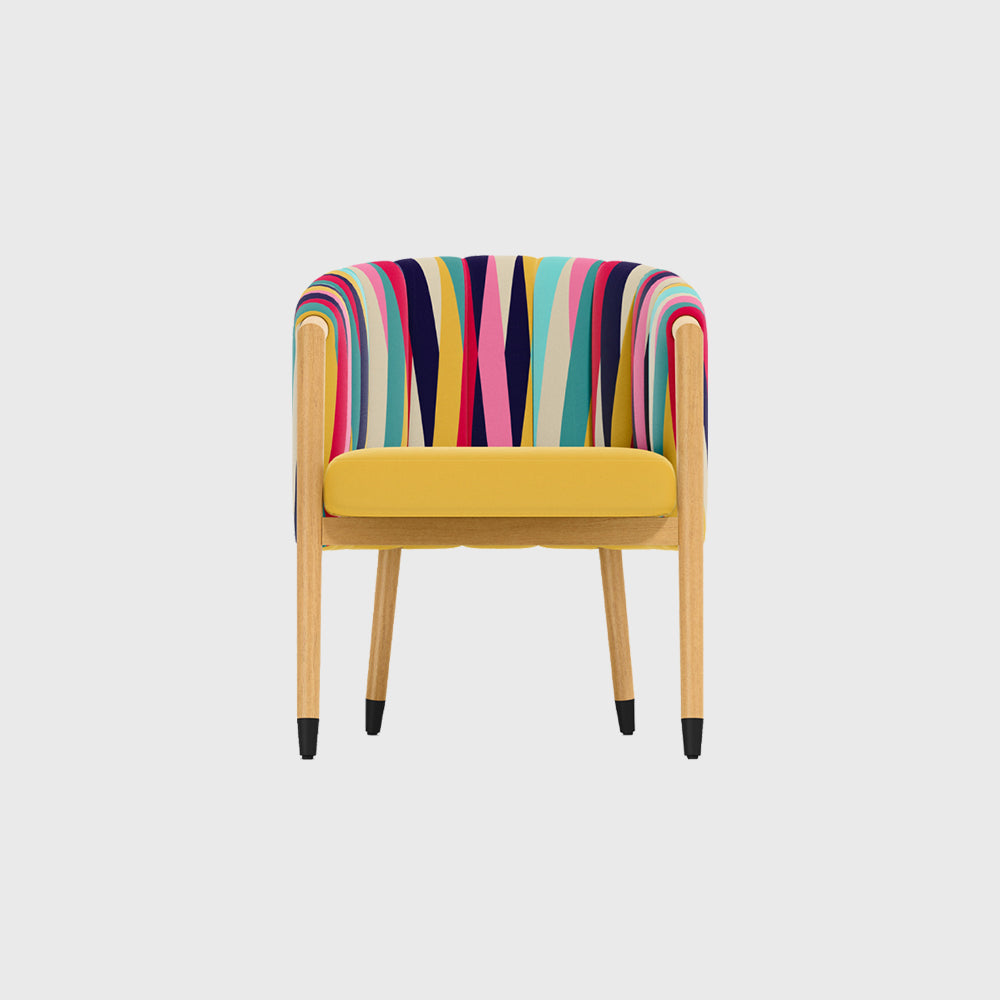 Modern Color Full Dinning Chair