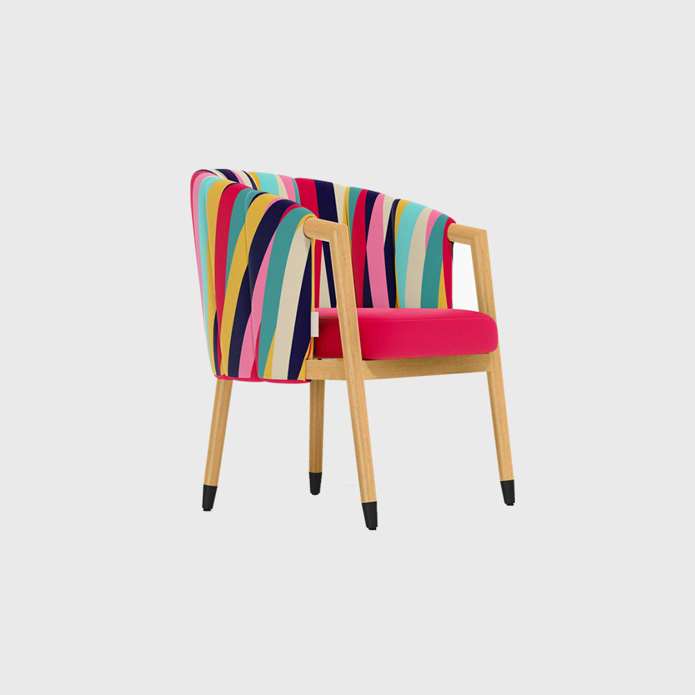 Modern Color Full Dinning Chair